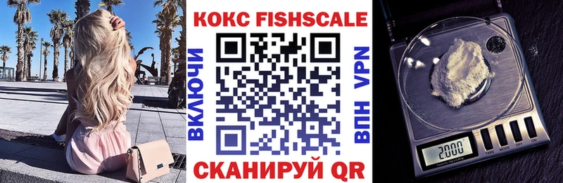 Купить  Сунжа  Кокаин Fish Scale 