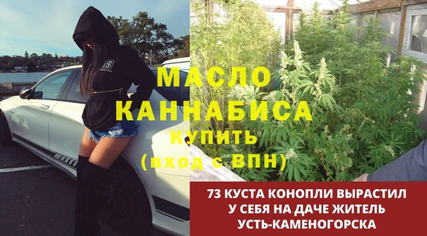 амф Зеленодольск